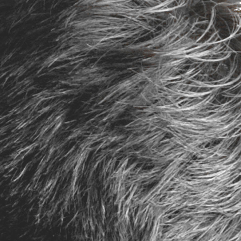 Hair Thickening Fibres - Grey 30g