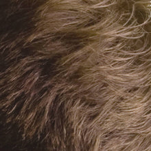Load image into Gallery viewer, Hair Thickening Fibres - Light Brown 30g
