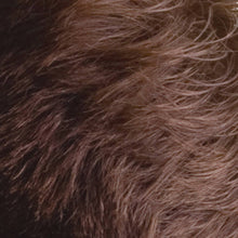 Load image into Gallery viewer, Hair Thickening Fibres - Medium Brown 30g
